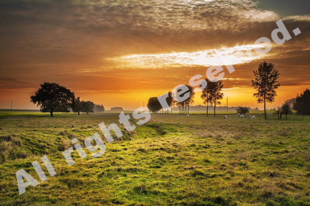 オンラインサロン