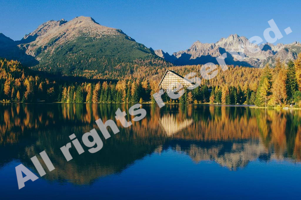 サロン限定コンテンツ提供